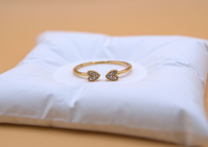 Hovedbilde Twin Hearts Ring 57str
